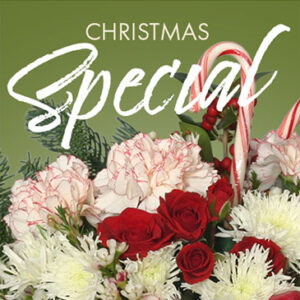 Christmas Special Designer's Choice