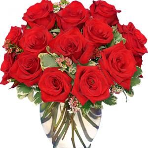 Classic Rose Royale 18 Red Roses Vase