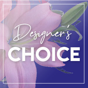 Send Beauty Designer's Choice