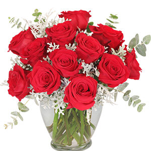 Guilty Pleasure Dozen Roses